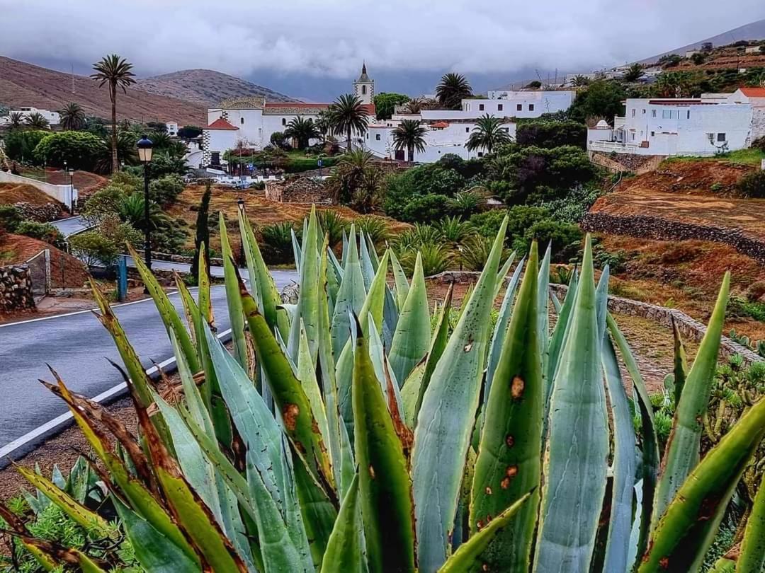 Casa Del Mar Air-Conditioned Apartment With Swimming Pools - Corralejo Playa 部屋 写真