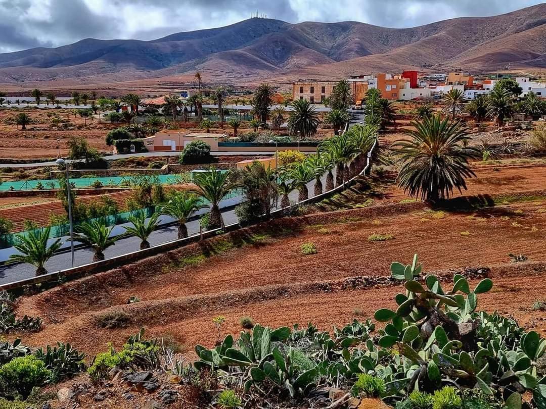 Casa Del Mar Air-Conditioned Apartment With Swimming Pools - Corralejo Playa エクステリア 写真