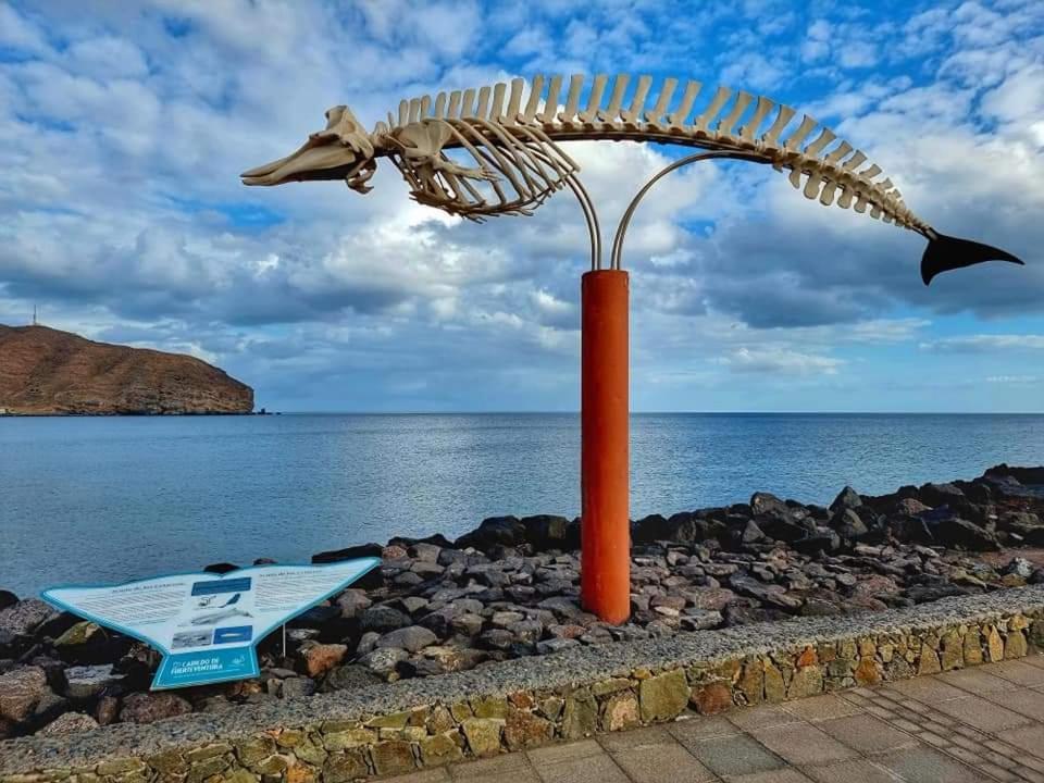 Casa Del Mar Air-Conditioned Apartment With Swimming Pools - Corralejo Playa 部屋 写真